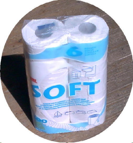WC Papier 6 Rollen a 300 Blatt Toilettenpapier Fiamma Soft 301f051s NEU