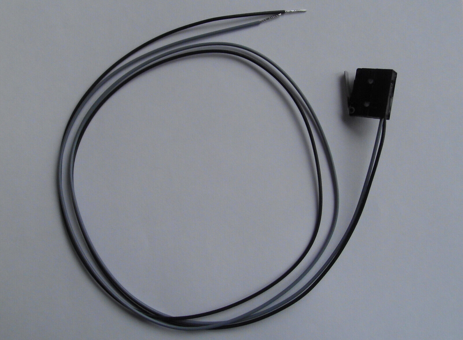 Micro Schalter mit Bügel, für 12 V für Reich Wassehähne im Wohnmobil 124680b NEU